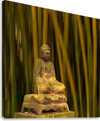 Buddha statue in bamboo forest  Canvas Print
