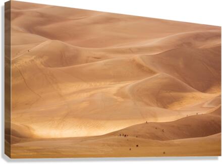 People on Great Sand Dunes NP   Canvas Print