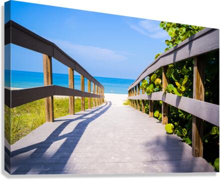 Boardwalk among sea oats to beach in Florida  Impression sur toile