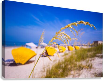 Madiera Beach and sea oats in Florida  Impression sur toile