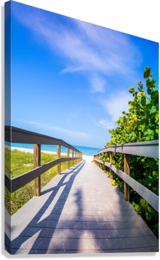 Boardwalk among sea oats to beach in Florida  Impression sur toile