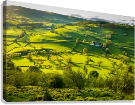 Typical english or welsh farming country  Canvas Print