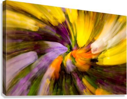 Flower blossoms in curling pattern  Canvas Print