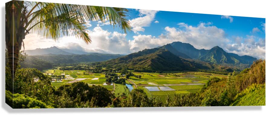 Hanalei valley from Princeville overlook Kauai  Impression sur toile