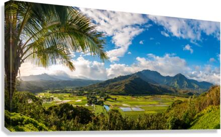 Hanalei valley from Princeville overlook Kauai  Impression sur toile
