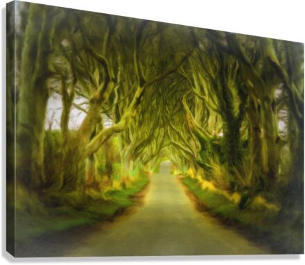 Dark Hedges road through old trees  Impression sur toile