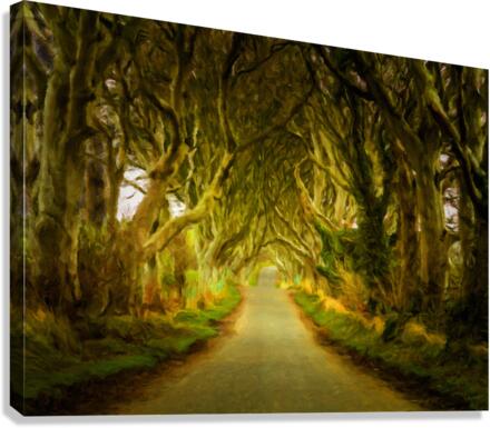 Dark Hedges road through old trees in digital oil  Impression sur toile