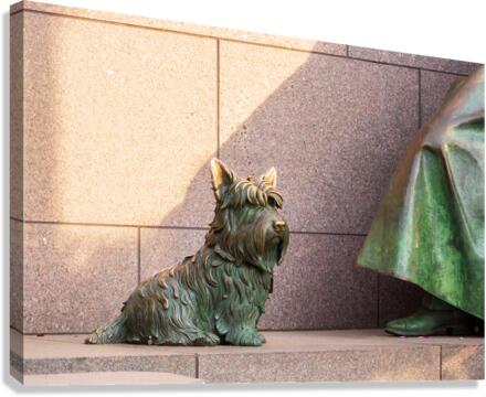 Pet dog at Roosevelt memorial Washington DC  Canvas Print