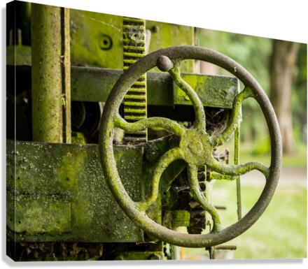Moss covered farm machinery with handle  Impression sur toile