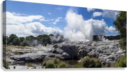 Whakarewarewa thermal geyser area  Impression sur toile