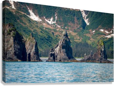 Rocky outcrops in the bay at Seward in Alaska  Canvas Print