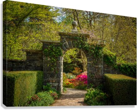 Azaleas and Rhododendron trees surround gateway in spring  Canvas Print