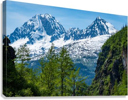Majestic mountains from Keystone Canyon rise over trees  Canvas Print