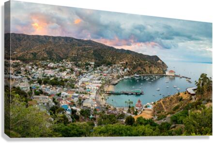 Evening in Avalon on Catalina Island  Impression sur toile