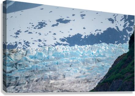 The Mendenhall glacier near Juneau in Alaska  Canvas Print