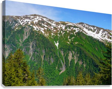 View from Mount Roberts toward Mt Juneau with waterfall in Alask  Impression sur toile