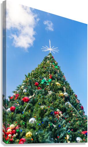 Large decorated external christmas tree  Canvas Print