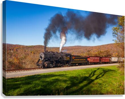 WMRR Steam train powers along railway  Impression sur toile
