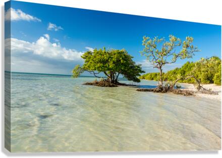 Florida Keys Annes Beach  Impression sur toile