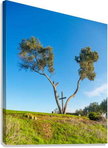 Serra Cross in Ventura California between trees  Impression sur toile