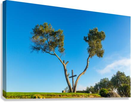 Serra Cross in Ventura California between trees  Impression sur toile