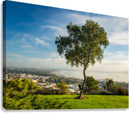 Panorama of Ventura from Grant Park  Canvas Print