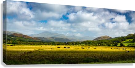 Panorama of the English Lake District  Impression sur toile
