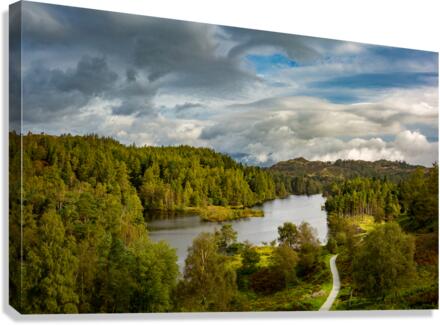 View over Tarn Hows in English Lake District  Canvas Print