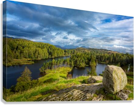Tarn Hows in English Lake District  Impression sur toile
