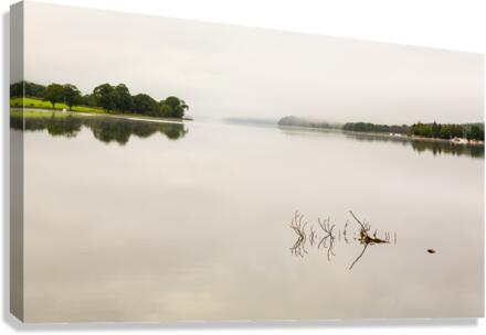 Reflection of branch in Coniston Water   Canvas Print