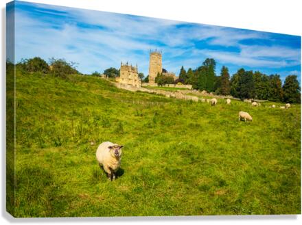 Church St James across meadow in Chipping Campden  Canvas Print