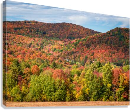 Multi-colored hillside in Vermont during the fall  Canvas Print