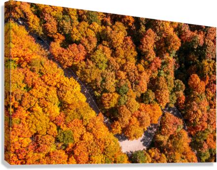 Aerial view of hairpin bend in Smugglers Notch  Canvas Print