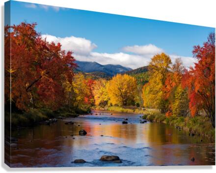 Saranac river flows through multi-colored fall landscape in Adir  Canvas Print