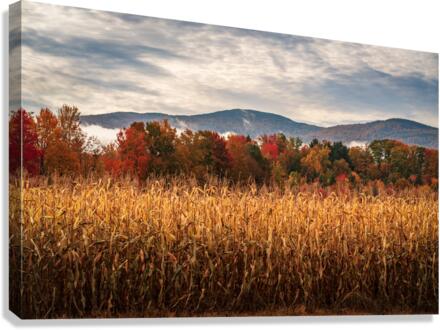 Multi-colored fall landscape in Vermont  Canvas Print