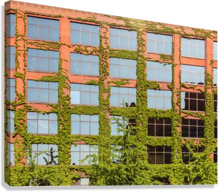 Modern Chicago office covered with plants  Impression sur toile