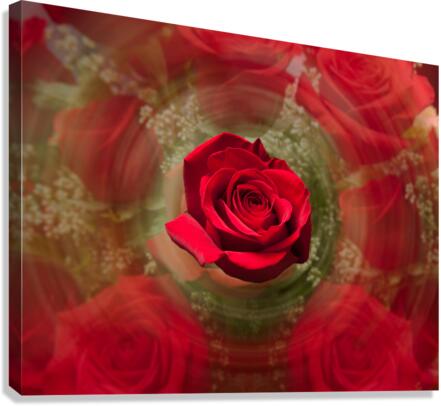 Close up of red rose bouquet with roses  Impression sur toile