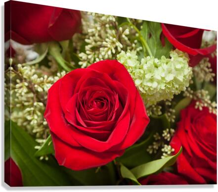 Close up of red rose bouquet with roses  Canvas Print