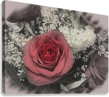 Color charcoal drawing of red rose bouquet  Canvas Print