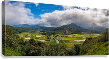 Panorama of Hanalei Valley on Kauai  Impression sur toile