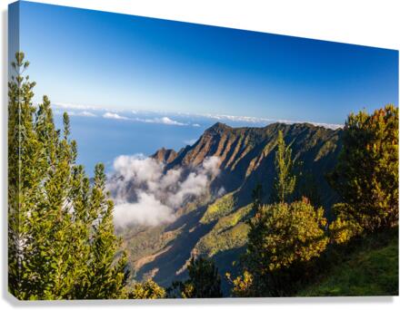 Pilea Trail overlooking Kalalau Valley in Kauai  Canvas Print
