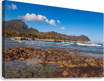 Mahaulepu beach in Kauai  Impression sur toile