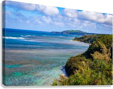 Sealodge and anini beach in Kauai Canvas Print