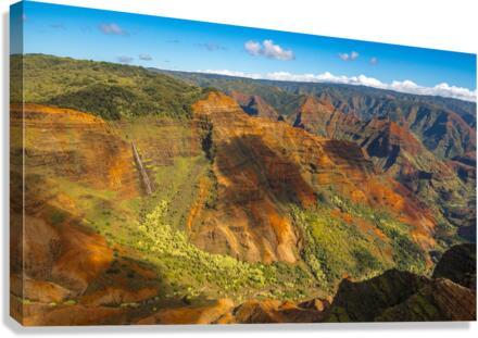 Garden Island of Kauai from helicopter tour  Canvas Print