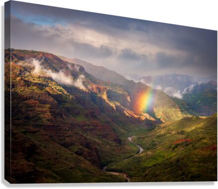 Dramatic rainbow over Waimea Canyon  Impression sur toile