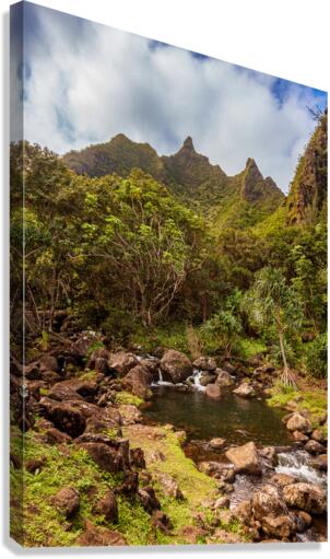 Jagged peaks above Lumahuli gardens Canvas Print