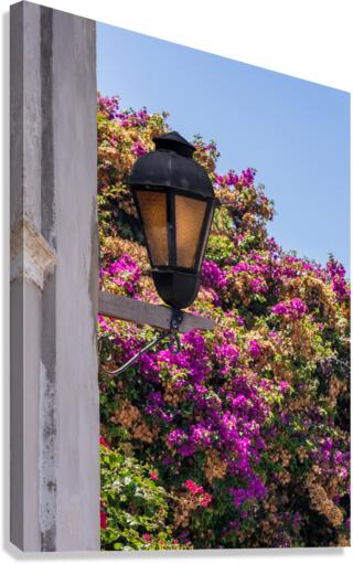 Street lamp in Unesco historical town of Colonia del Sacramento  Impression sur toile