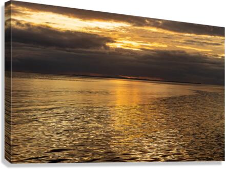Golden sunset on a cruise on a calm Pacific ocean  Canvas Print