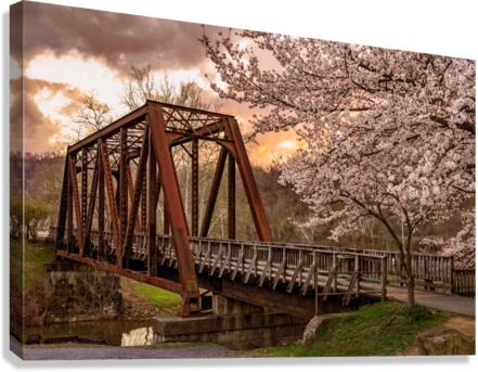 Steel girder bridge carries the bike walking trail over Deckers  Canvas Print