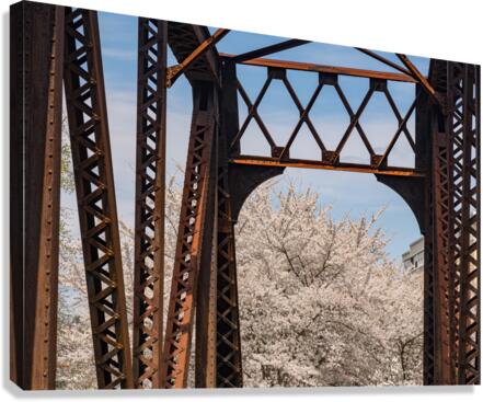 Steel girder bridge carries the bike walking trail over Deckers   Impression sur toile